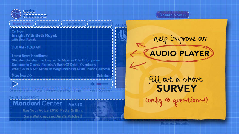 Player Survey Blueprint _8Q (2) R